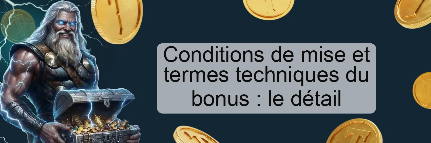Conditions de mise et termes techniques du bonus : le détail Conditions de mise et termes techniques du bonus : le détail
